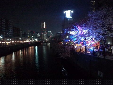 RecoveryFox AIで手繰り寄せた、13年前の仕事用HDDと愛猫の記憶 14