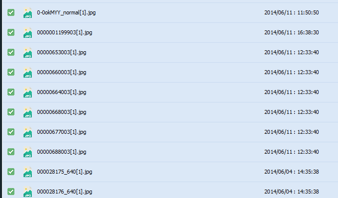 RecoveryFox AIで手繰り寄せた、13年前の仕事用HDDと愛猫の記憶 10 5db76613 0a70 44dc a07f ff778255de52 c