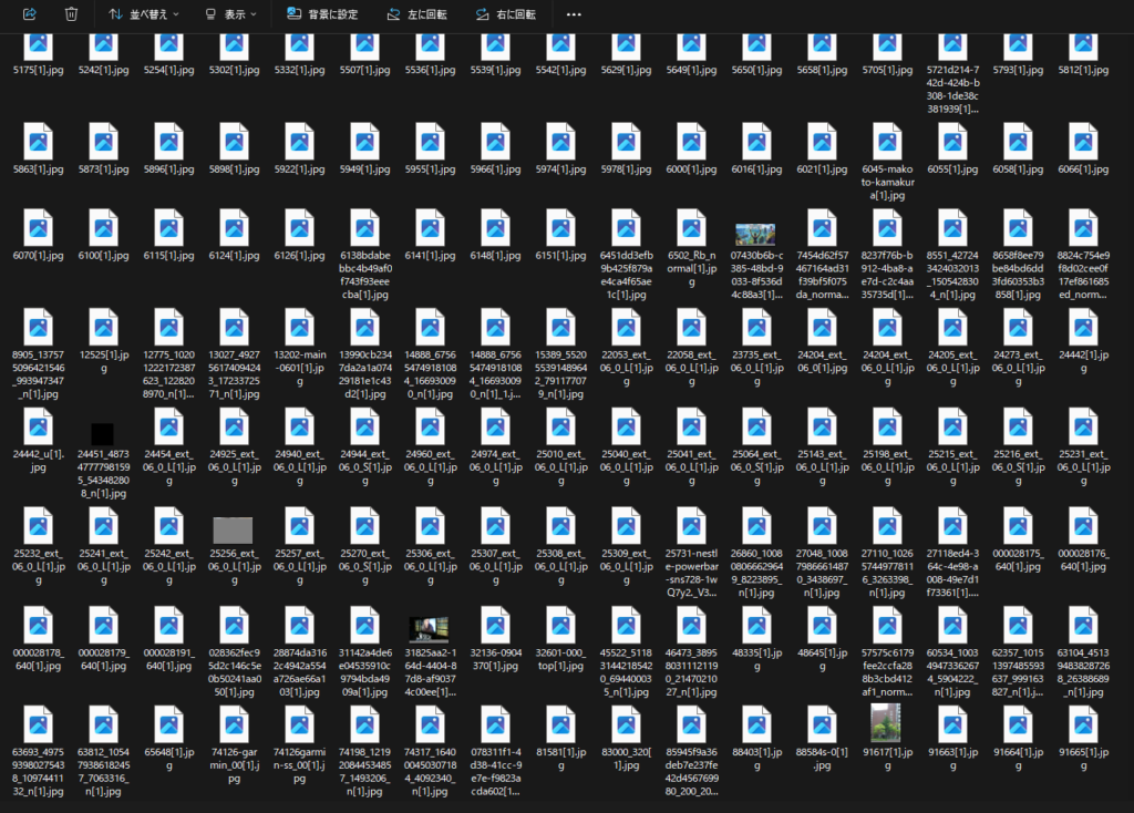 RecoveryFox AIで手繰り寄せた、13年前の仕事用HDDと愛猫の記憶 9 image 3